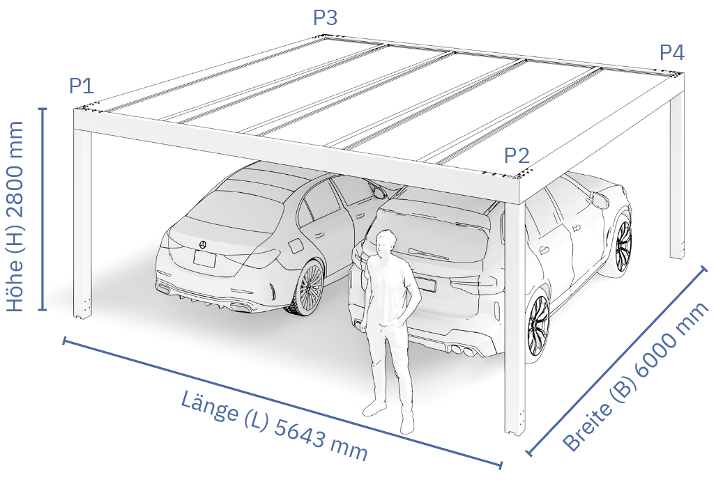 DE-3D Carport 2cars