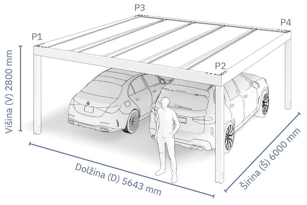 SI-3D Carport 2cars