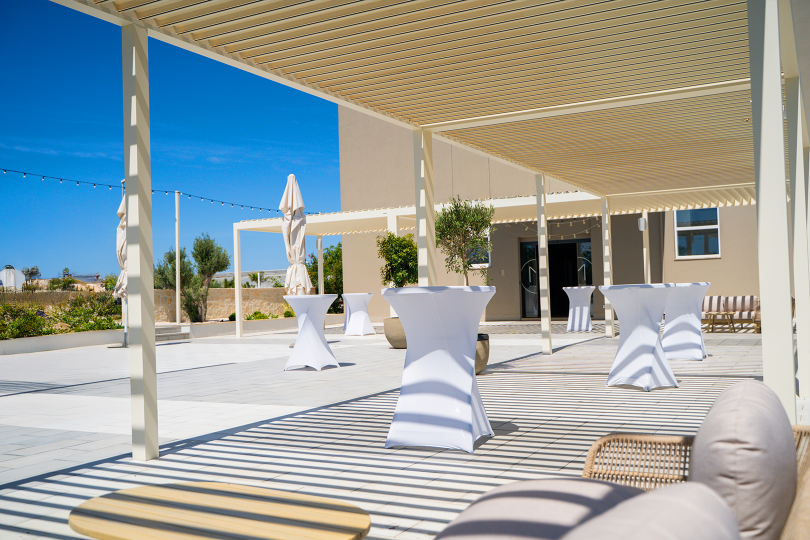  Mirabilis Horizontal 13